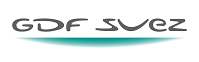 logodgfsuez.jpg
